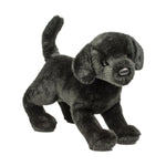 Chester Black Lab