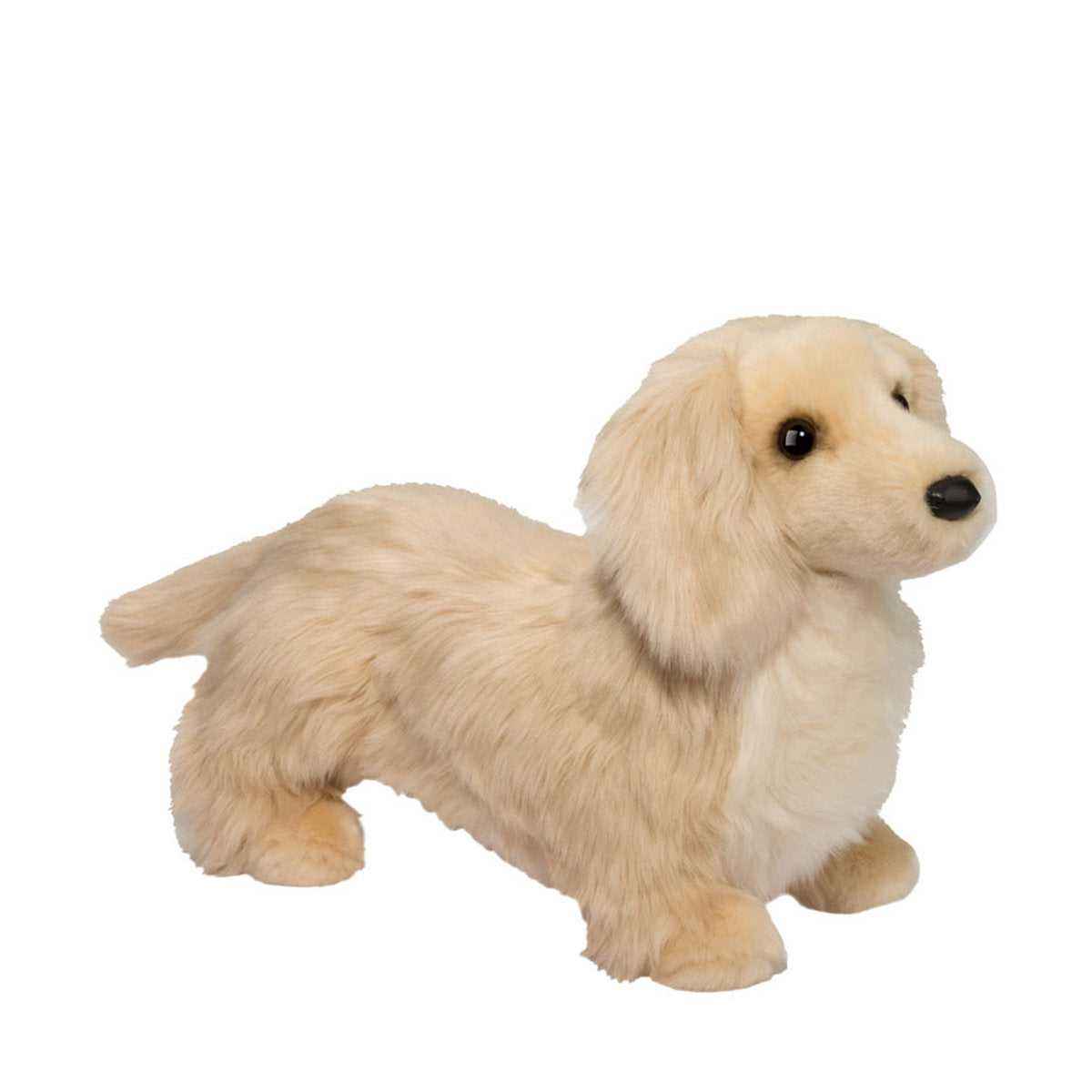 Haisley Dachshund