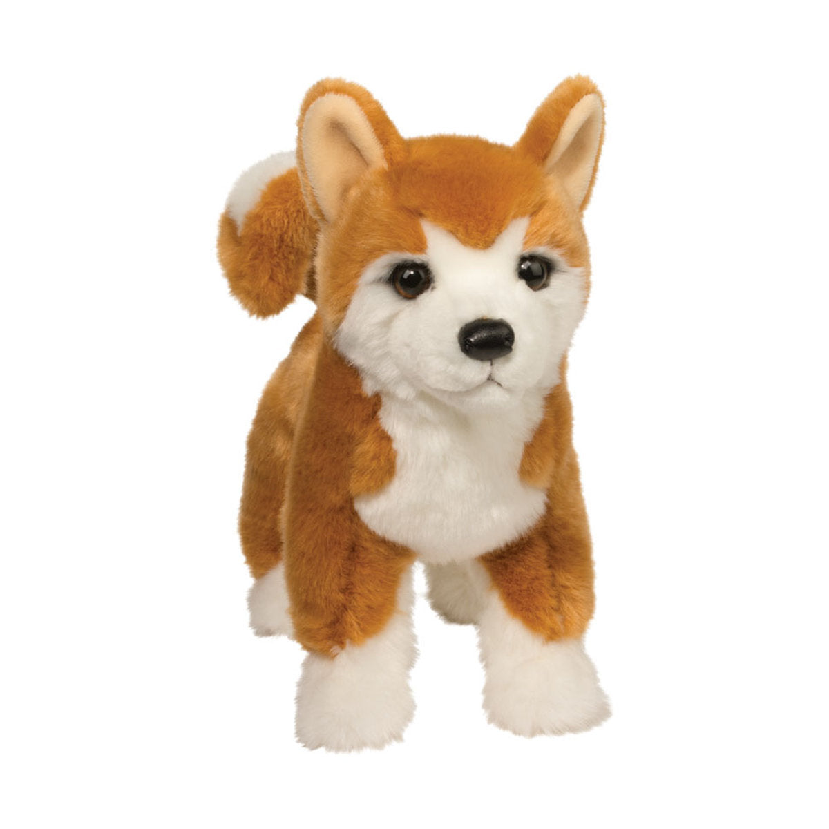 Dunham Shiba Inu