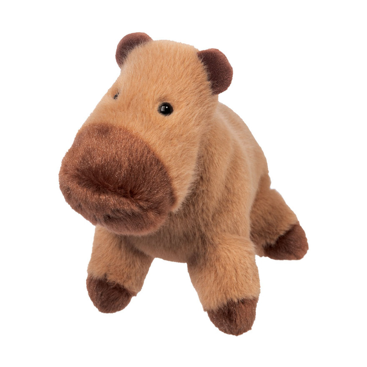 Craig Capybara