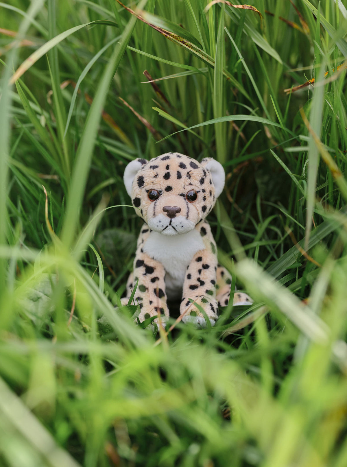 Charlie Bears Cuddle Cub Leopard