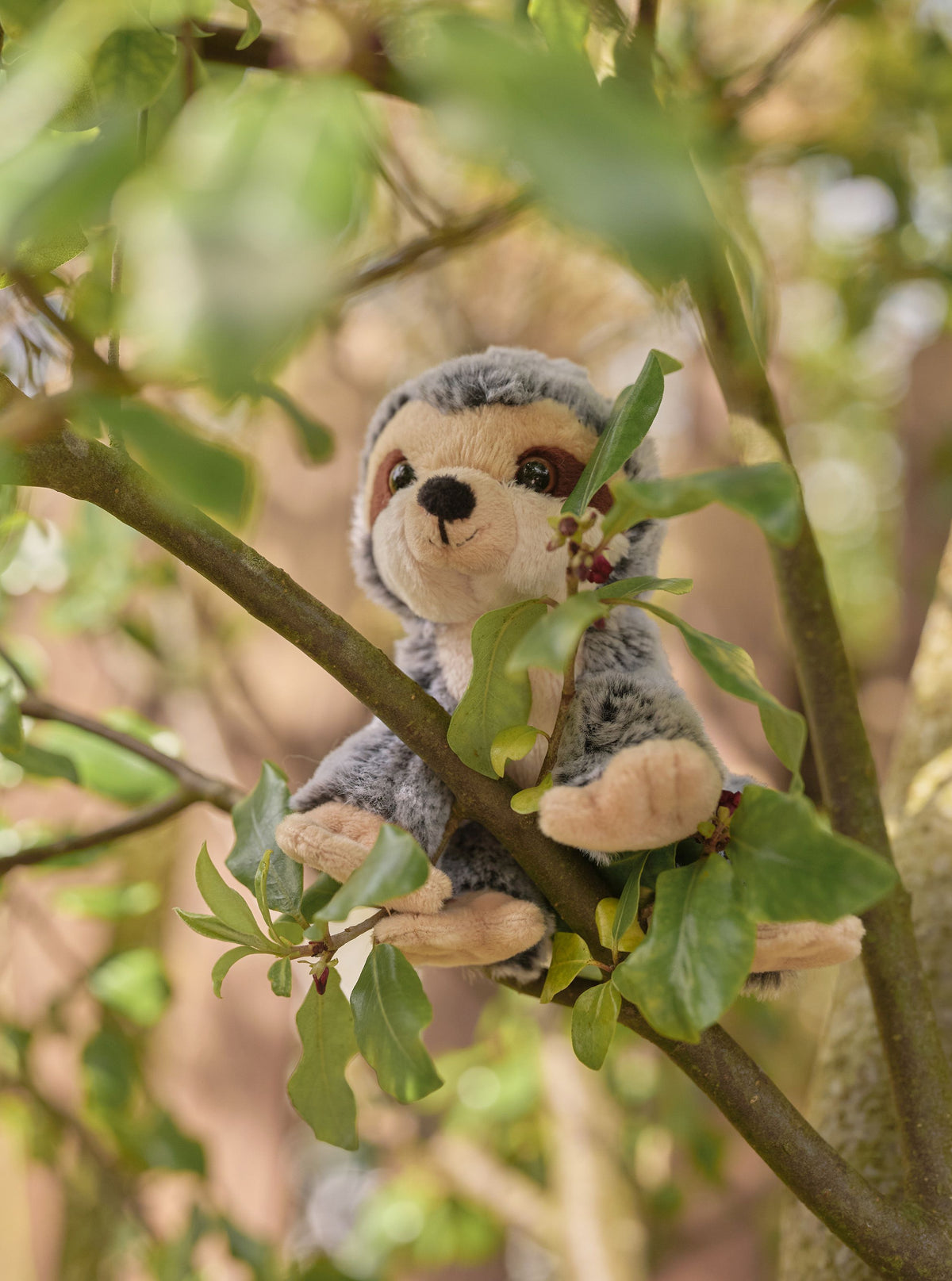 Charlie Bears Cuddle Cub Sloth