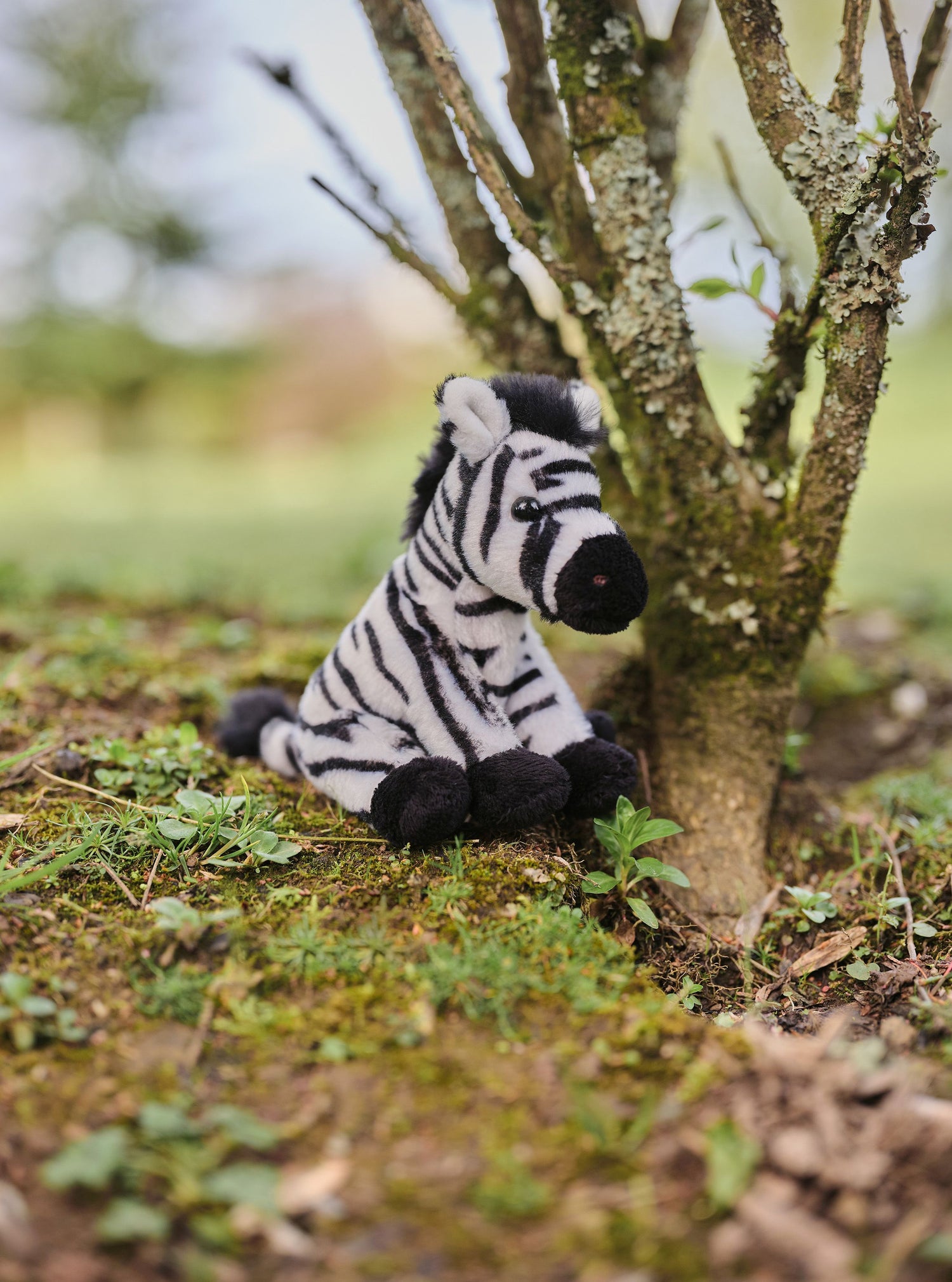 Cuddle Cub Zebra