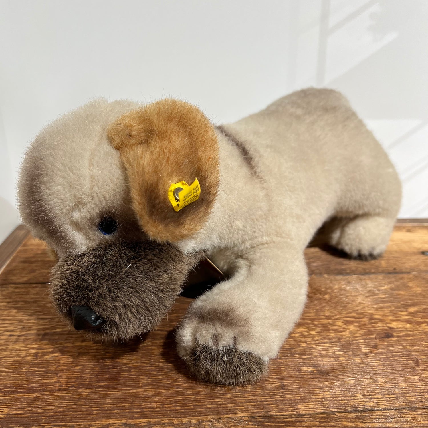 This is Welfo by Steiff. Welfo is a standing handmade dog with short, dense plush fur that has a soft sheen. The fur is mainly beige overall with noticeable brown on the ear centres, muzzle and paw tips, and darker brown to black on the nose area. The muzzle is brown and the nose is black and rounded. Inner ears are brown, the visible tummy and legs are beige, and the paws have darker brown tips. One eye visible is blue. There are no garments or held items. The pose is upright on all four legs and the ...