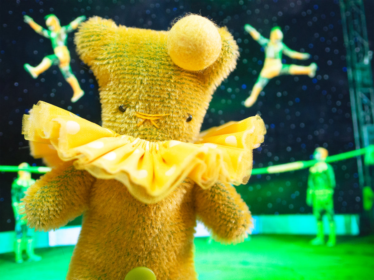 Bear Bears Bitsy