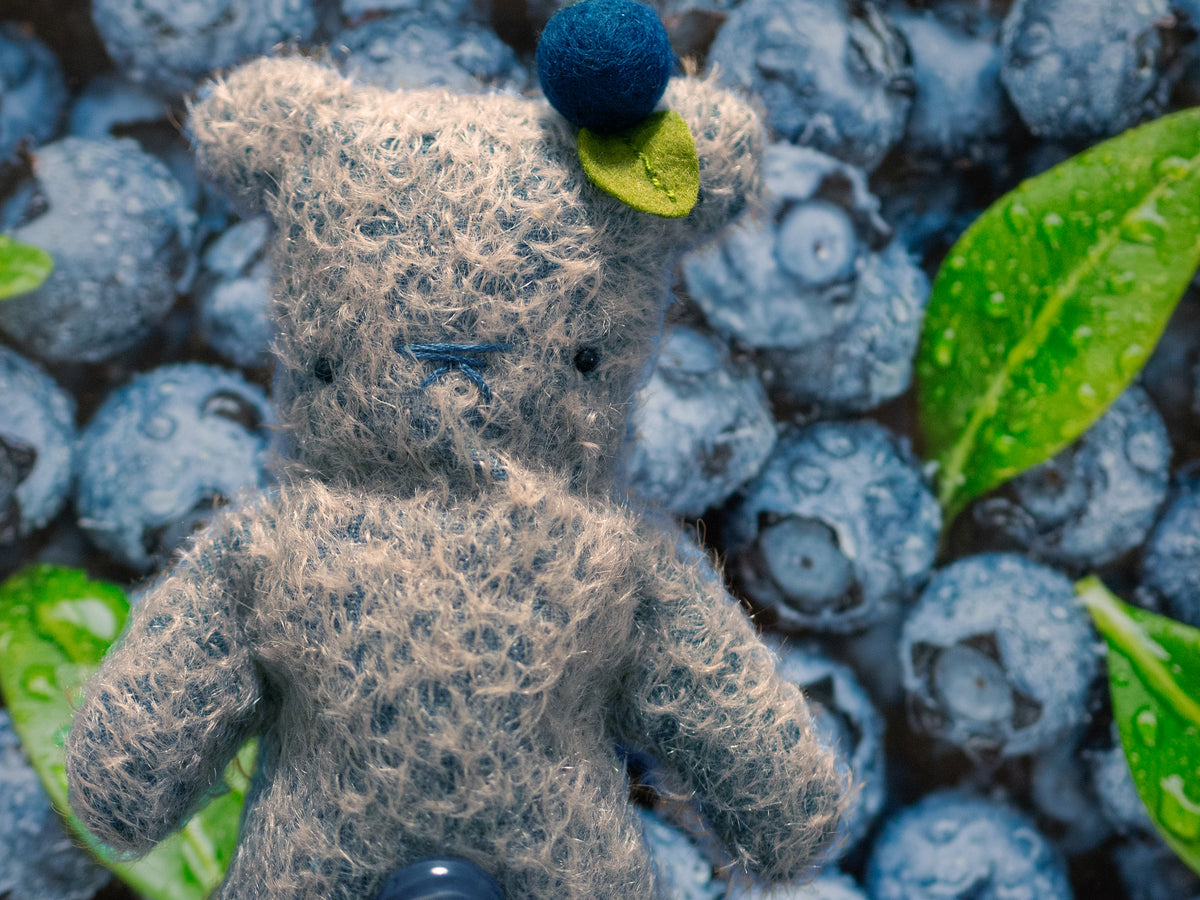 Bear Bears Blueberry