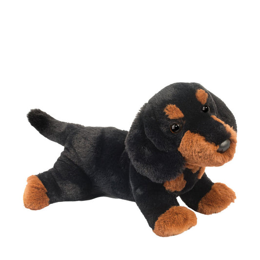 This is Dottie Dachshund by Douglas Cuddle Toys. Plush dachshund lying with body stretched and legs splayed, short dense fur that is black and brown, short and smooth with a slight sheen. Brown fur appears on the muzzle, eyebrow spots, chest patch, front and hind paws and paw tips; muzzle is brown, inner ears are black, tummy is black, paws are brown and paw pads appear brown. Eyes are dark brown to black and round; nose is black and rounded. Markings include two brown eyebrow spots, a brown muzzle and...
