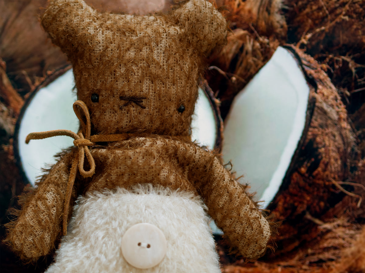 Bear Bears Coconut