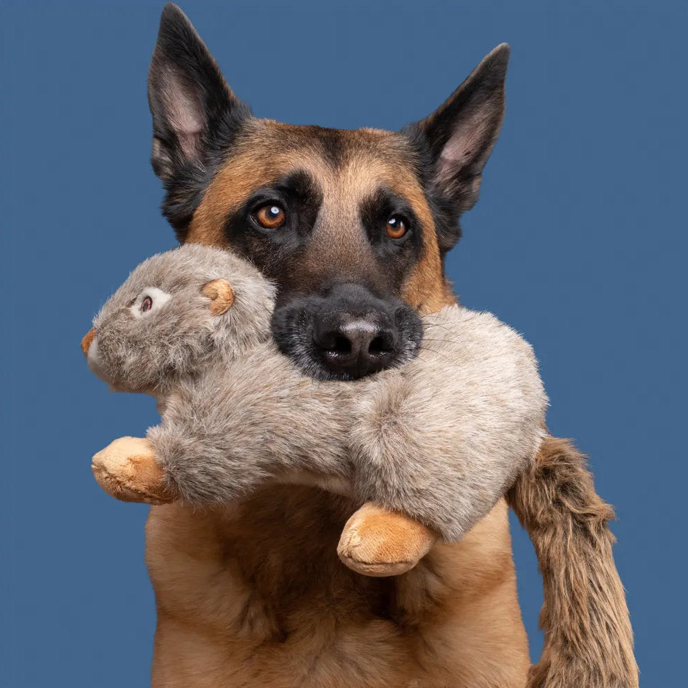 Fluff & Tuff Nuts Squirrel