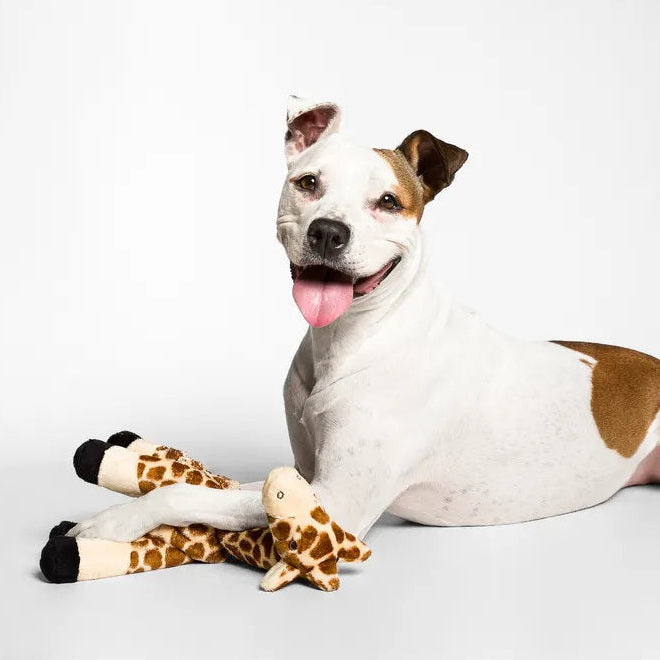 Nelly Giraffe