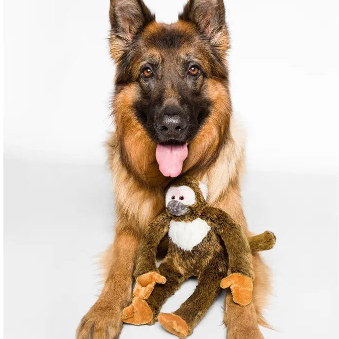 Fluff & Tuff Albert Monkey