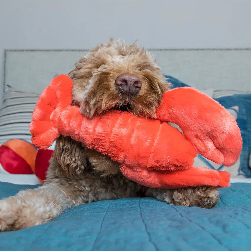 Fluff & Tuff Manny Lobster