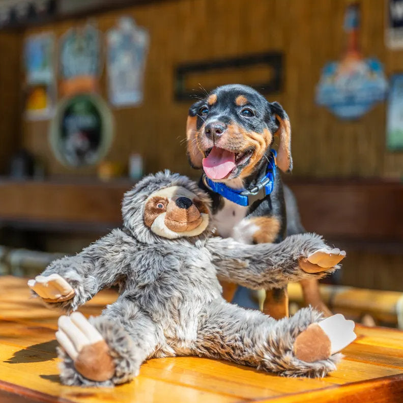 Fluff & Tuff Sonny Sloth
