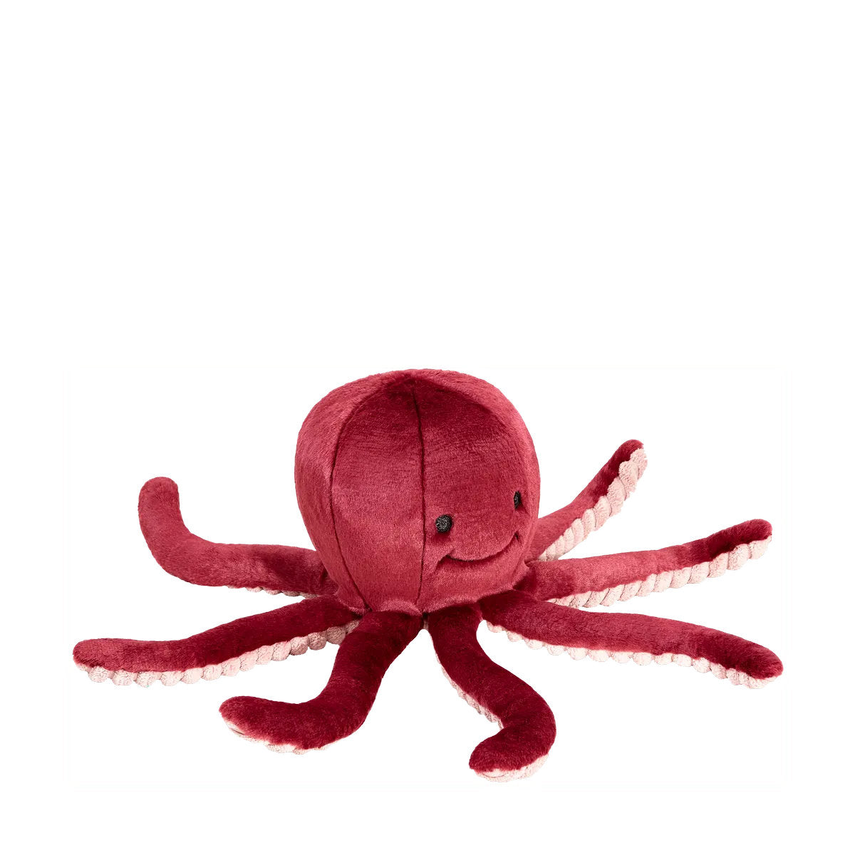 Olympia Octopus