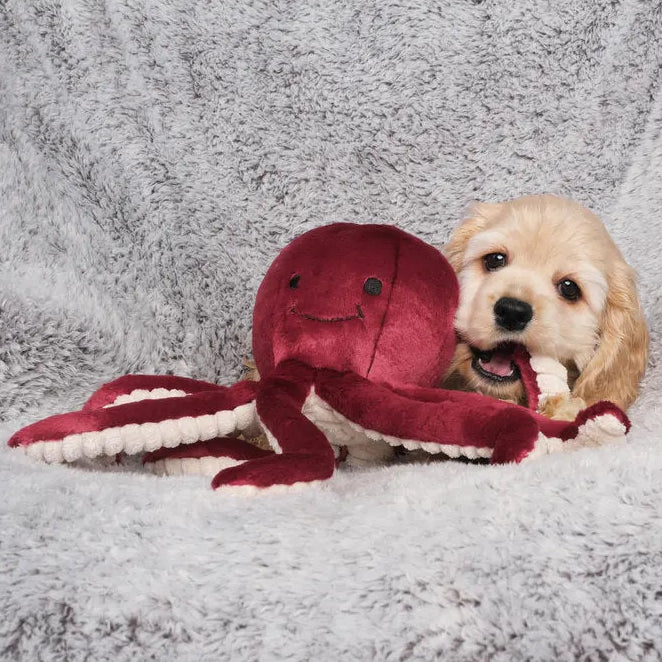 Fluff & Tuff Olympia Octopus
