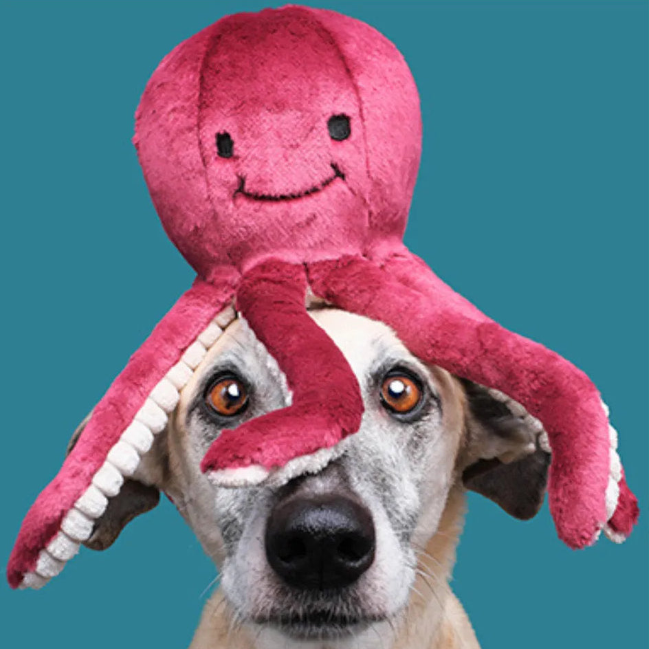 Fluff & Tuff Olympia Octopus