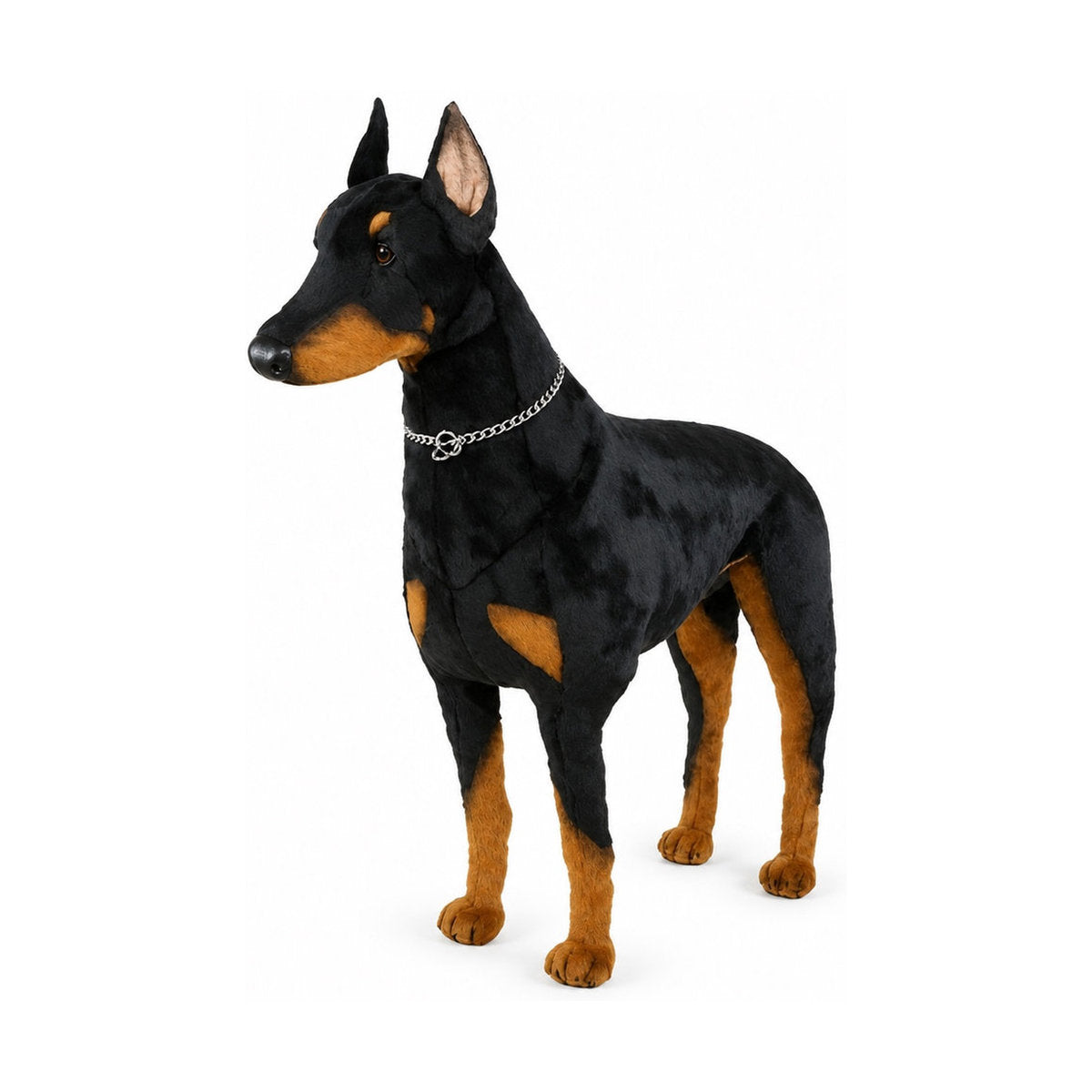 Piutrè Doberman Pinscher