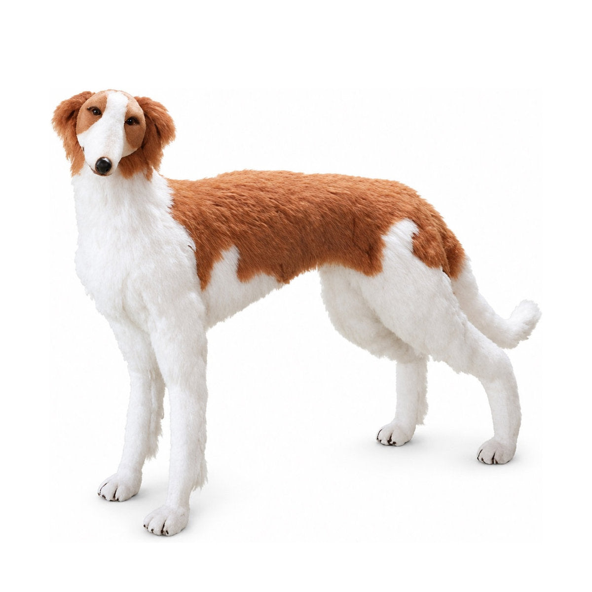 Piutrè Borzoi
