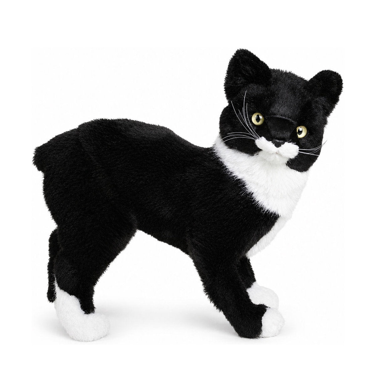 Piutrè Manx Cat