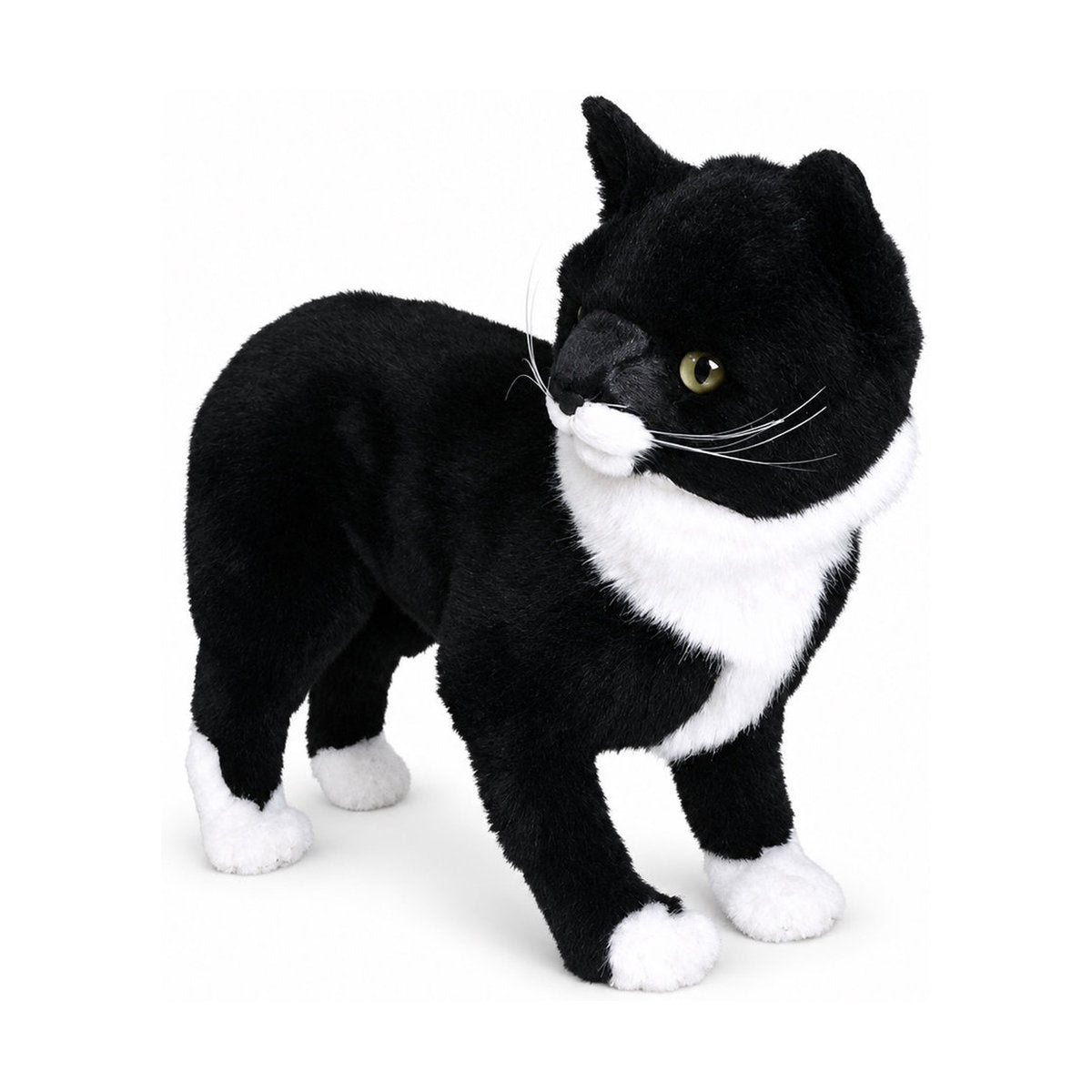 Piutrè Manx Cat