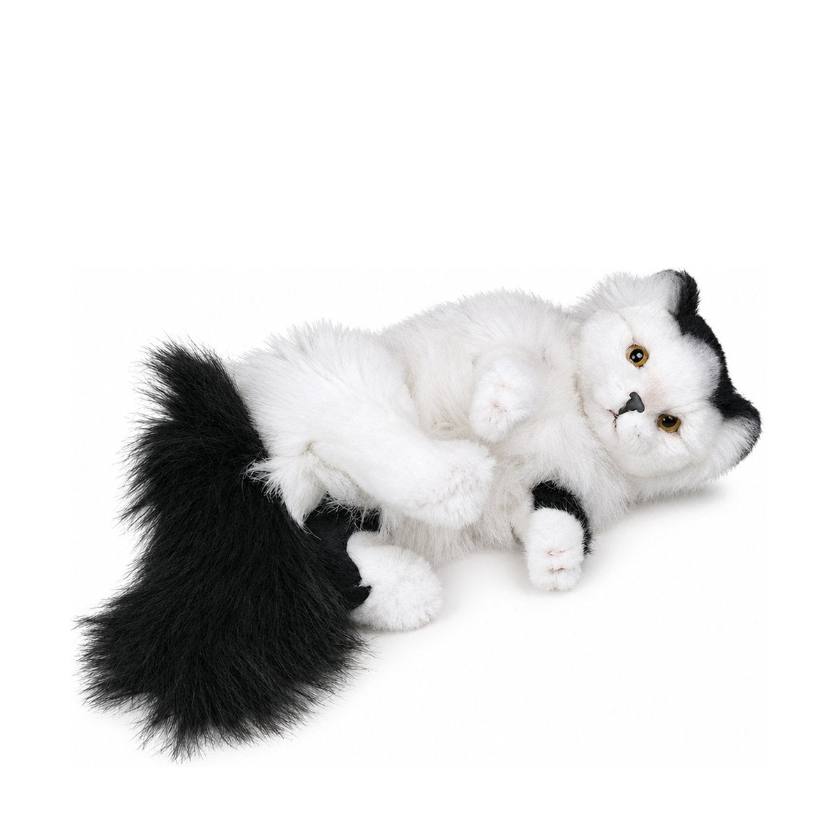 Piutrè White and Black Turkish Van Cat