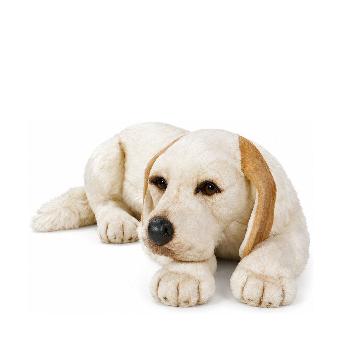PIUTRE-1201 pose:lying-head-down