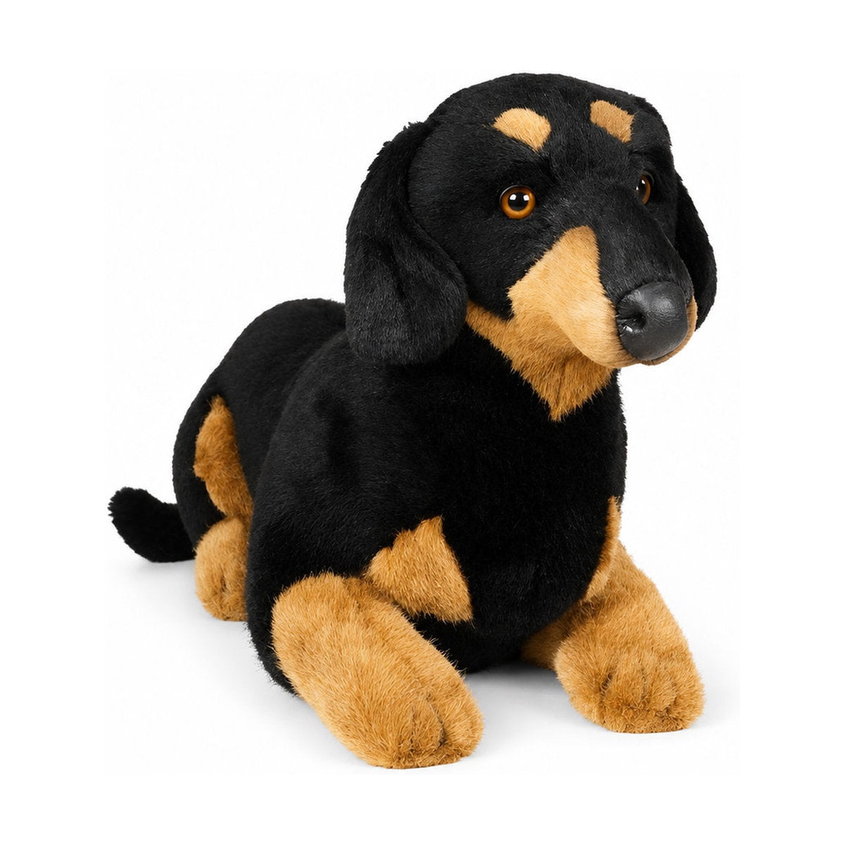 Piutrè Smooth Dachshund