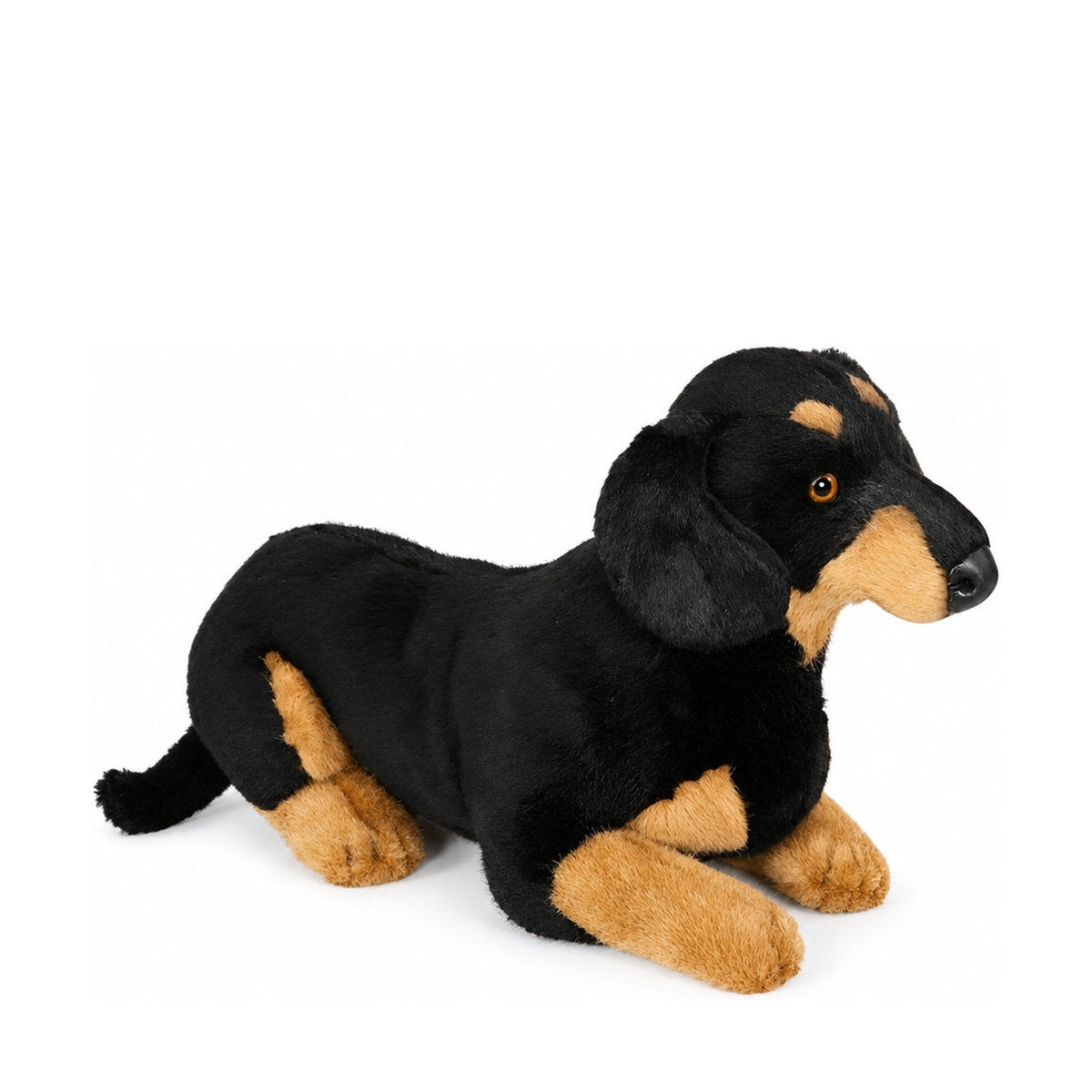 Piutrè Smooth Dachshund