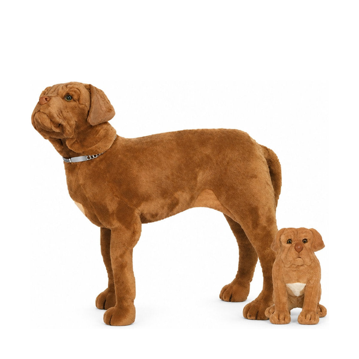 Piutrè Dogue de Bordeaux