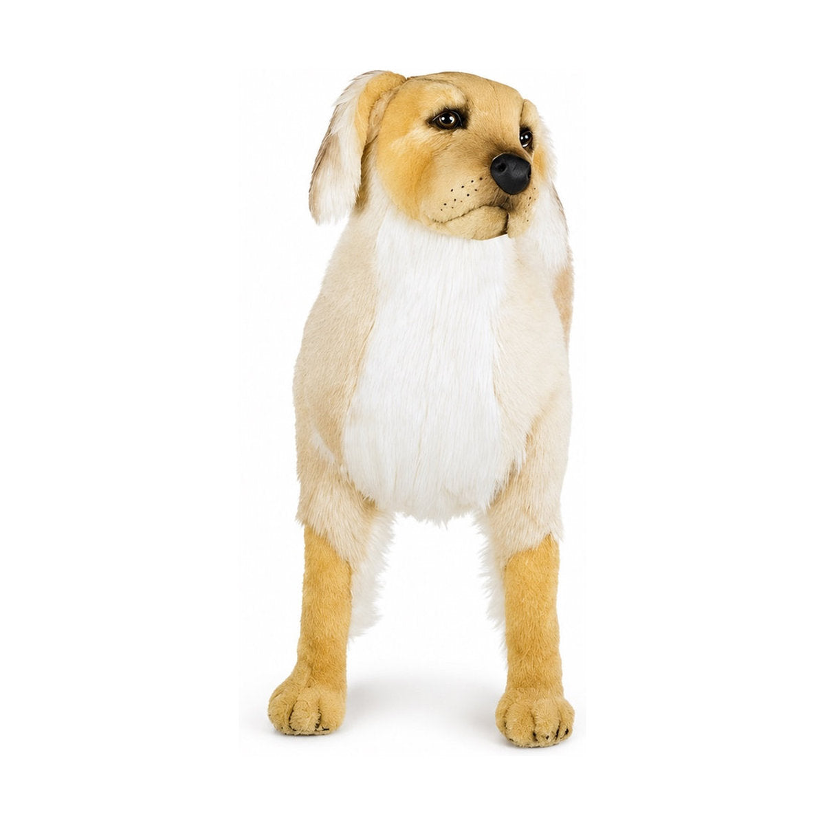 PIUTRE-2200 pose:standing