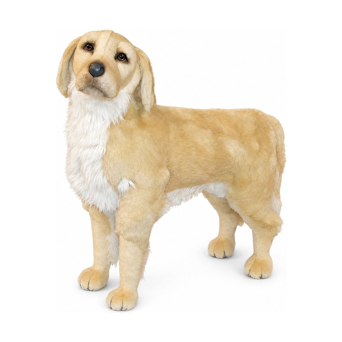 PIUTRE-2200 pose:standing
