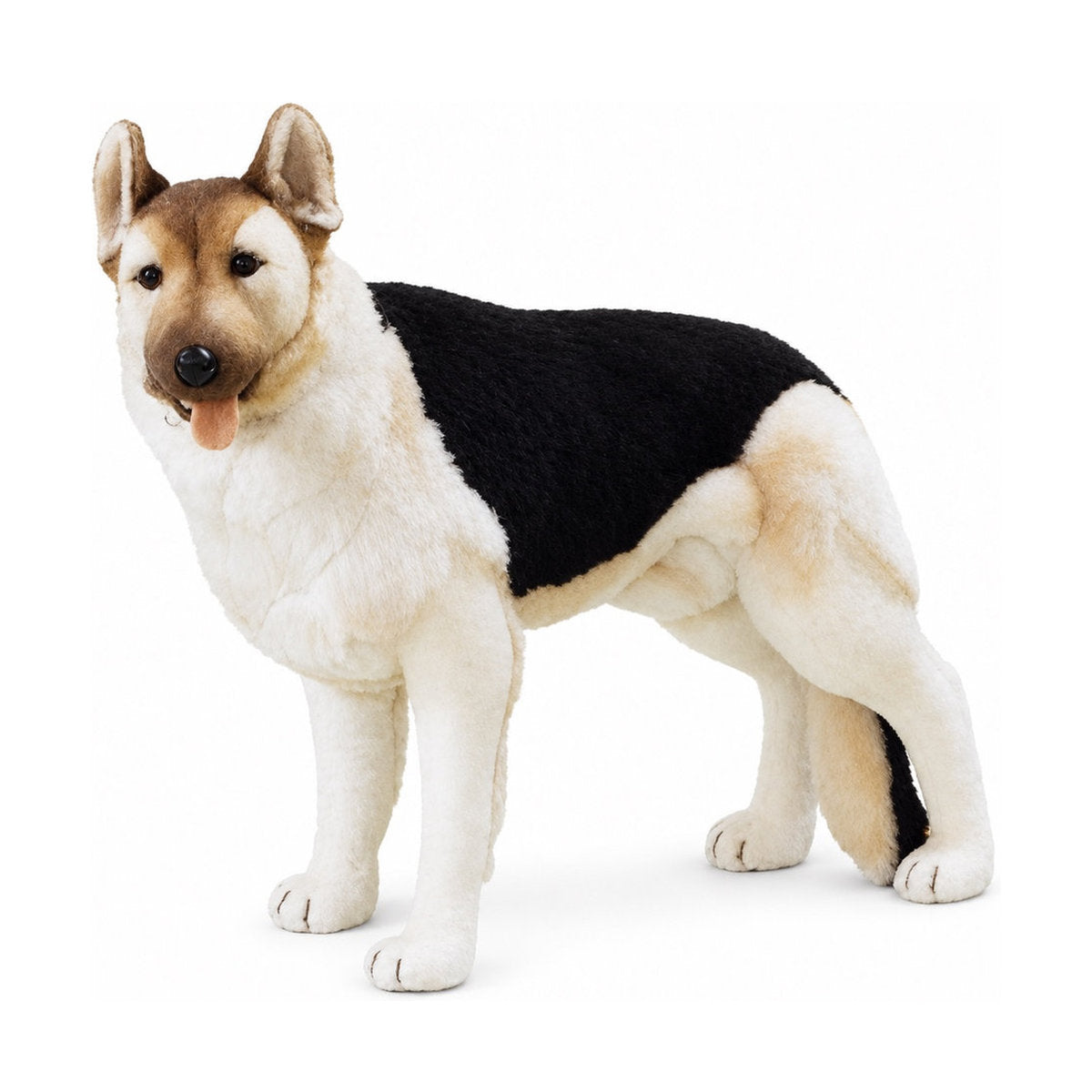 Piutrè German Shepherd