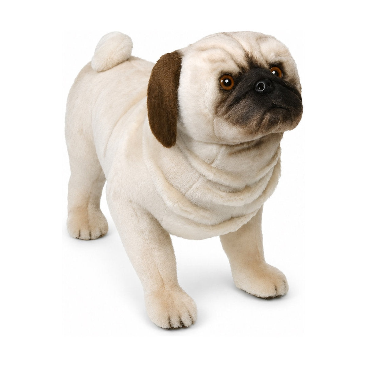 Piutrè Pug