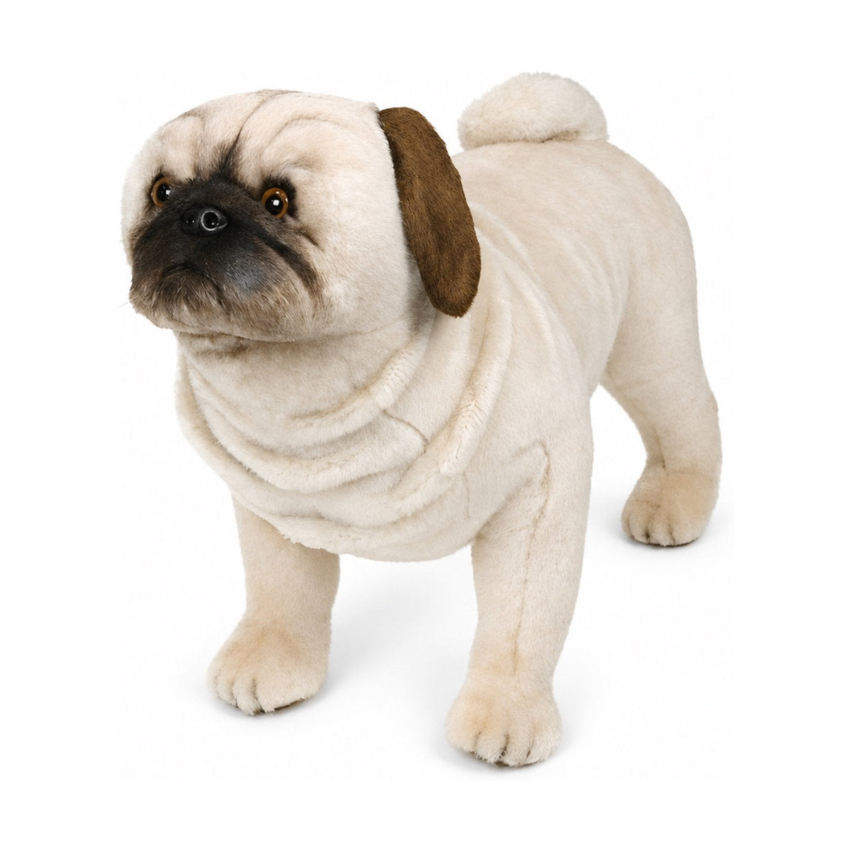 Piutrè Pug
