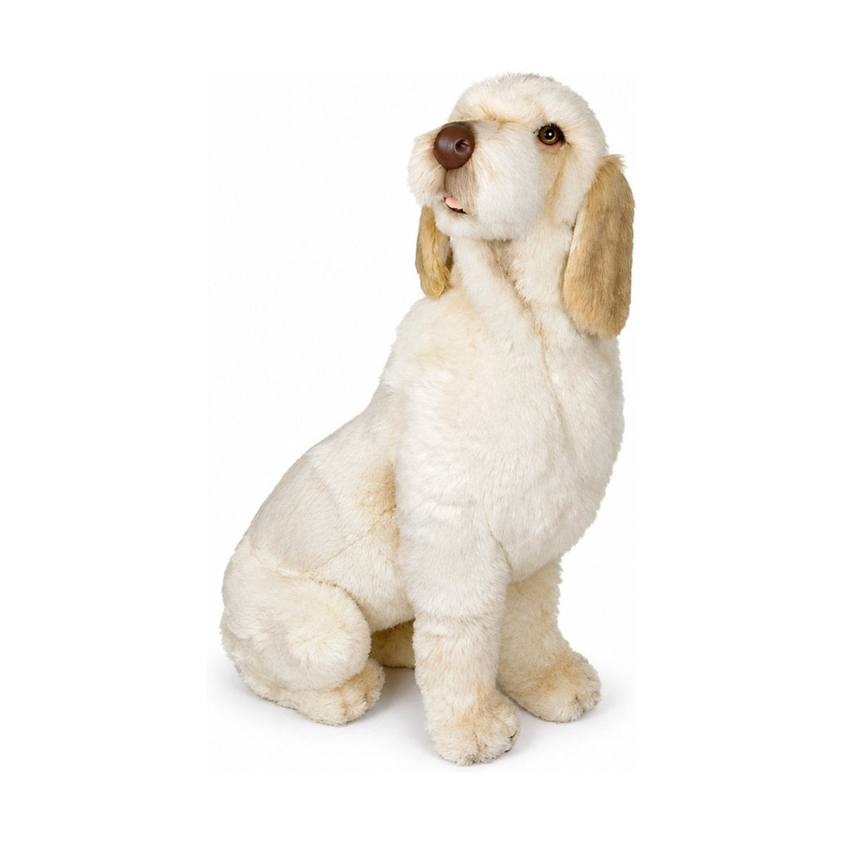 PIUTRE-2261 pose:sitting