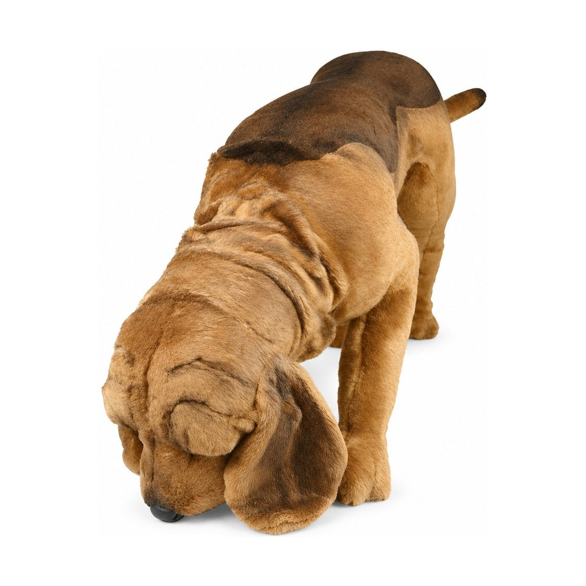 Piutrè Bloodhound