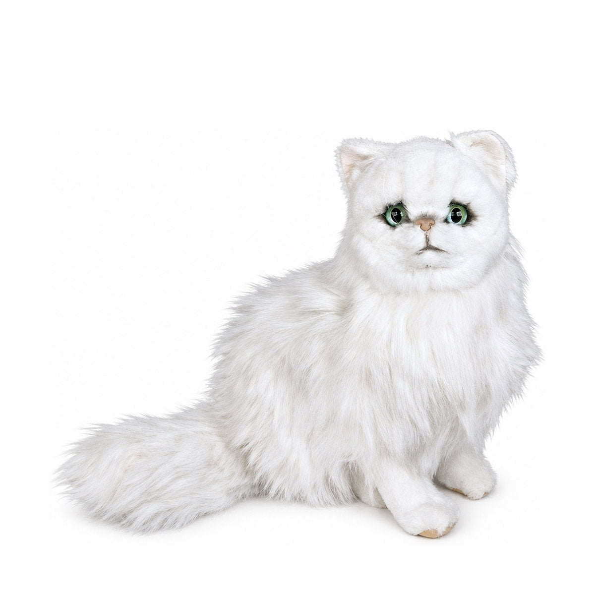 Piutrè Chinchilla White Persian Cat