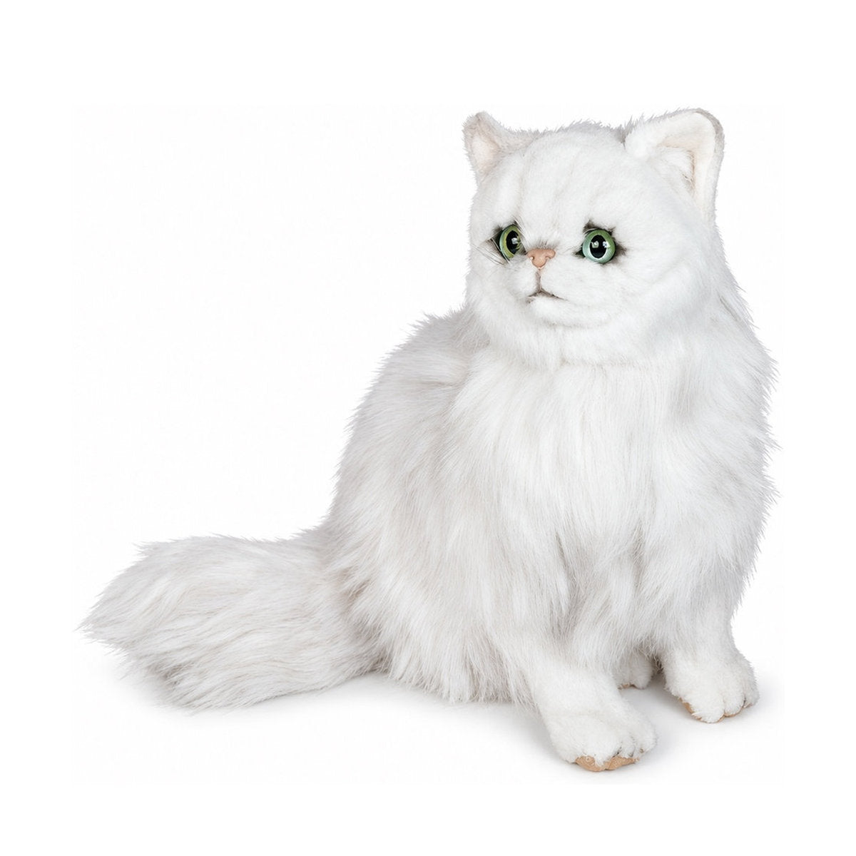 Piutrè Chinchilla White Persian Cat
