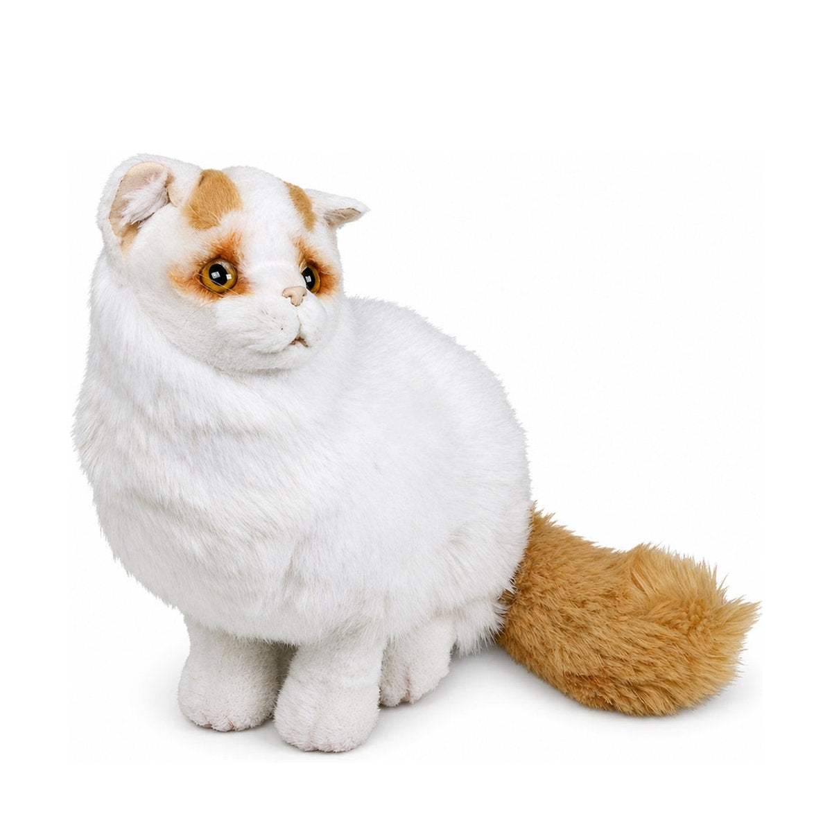 Piutrè White and Red Turkish Van Cat
