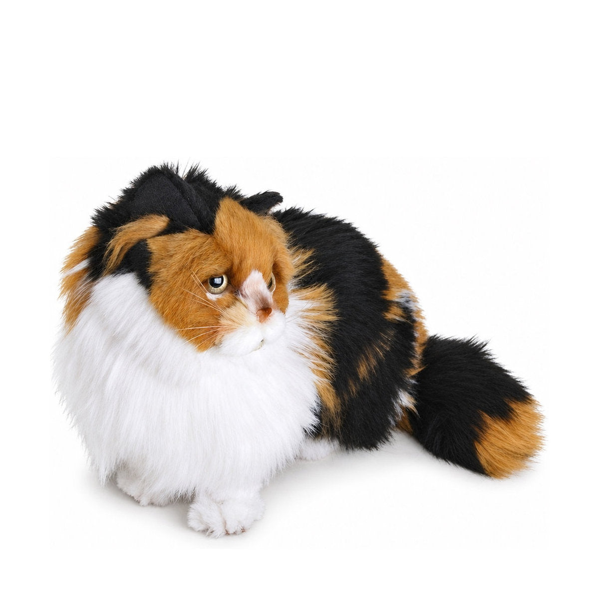 Piutrè Calico Cat