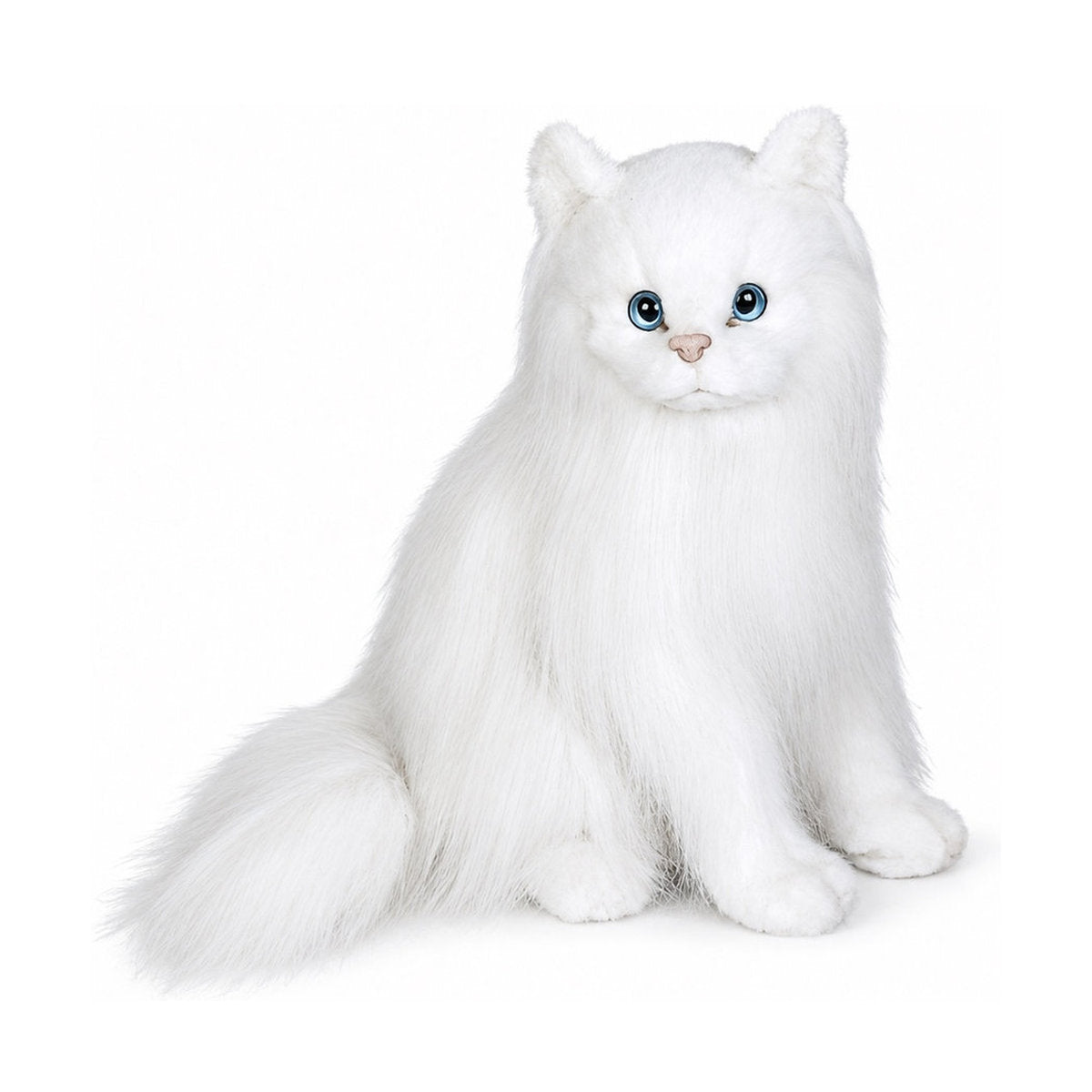 Piutrè White Angora Cat
