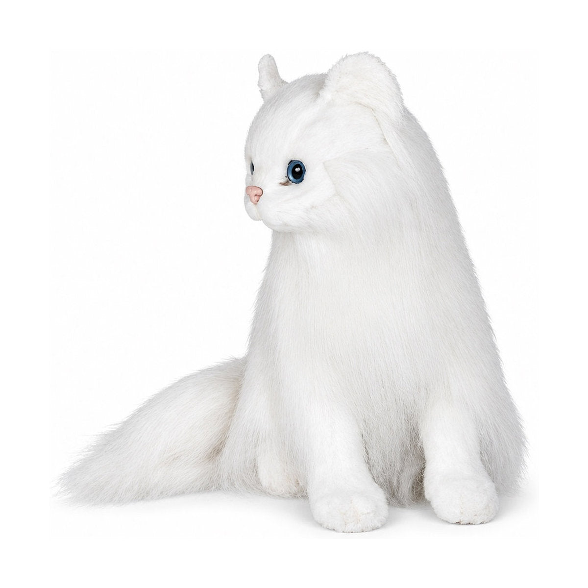 Piutrè White Angora Cat