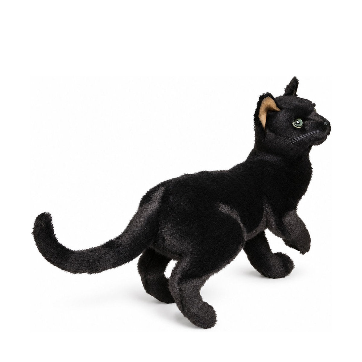 Piutrè Russian Blue Cat
