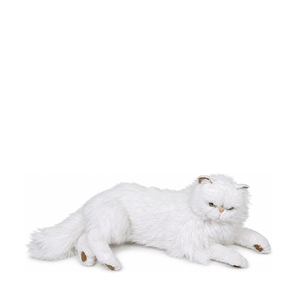 Piutrè White Persian Cat