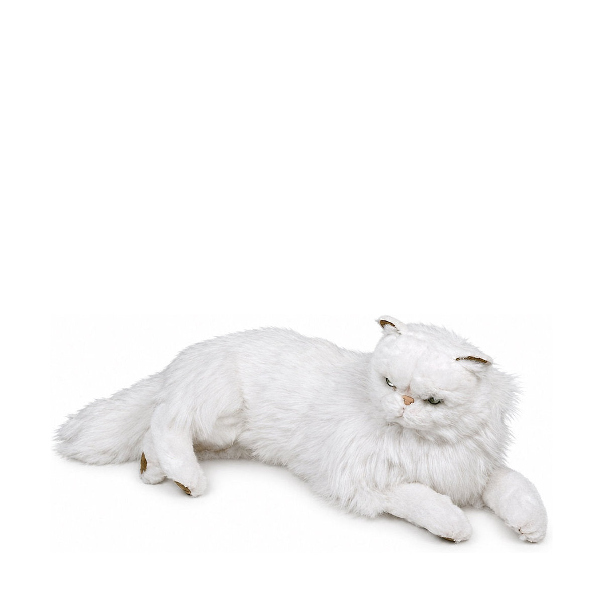 Piutrè White Persian Cat