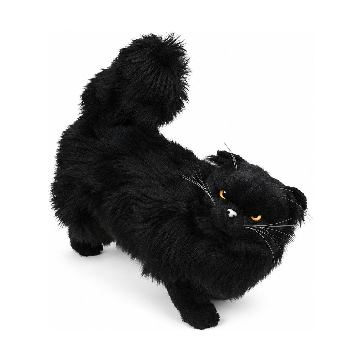 Piutrè Black Persian Cat
