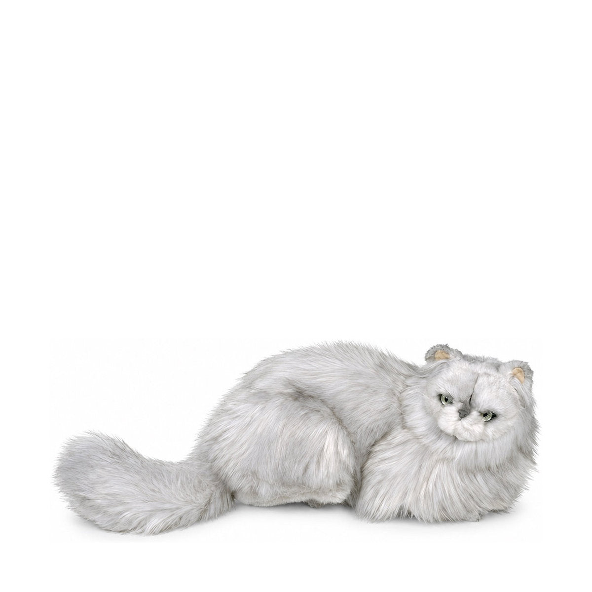 Piutrè Silver Persian Cat