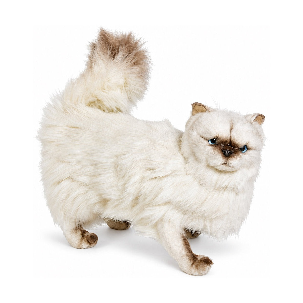 PIUTRE-2430 pose:standing