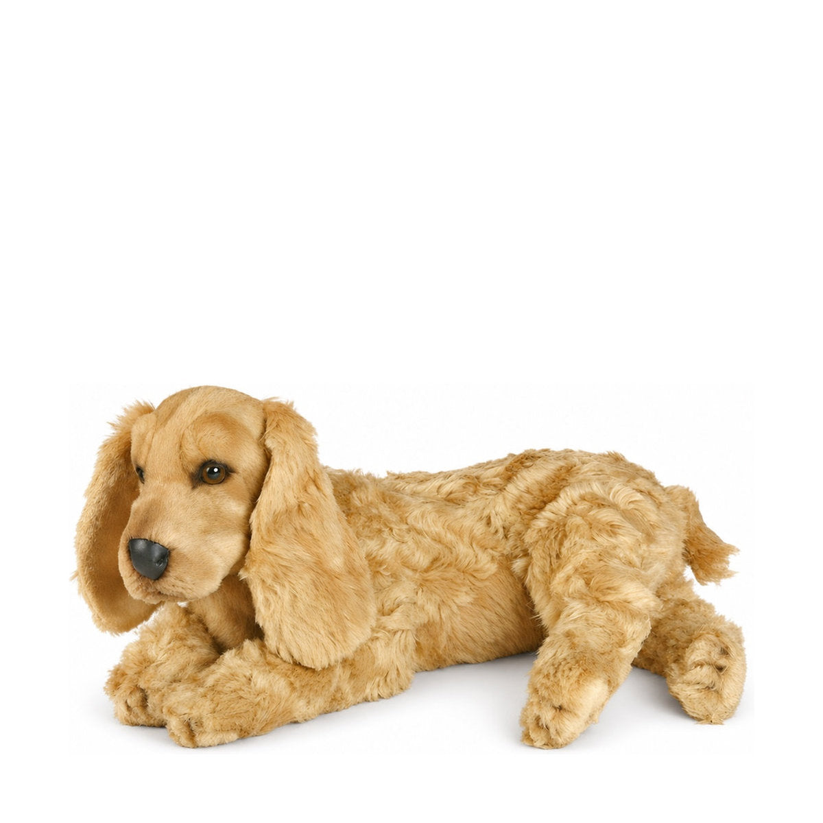 Piutrè Cocker Spaniel