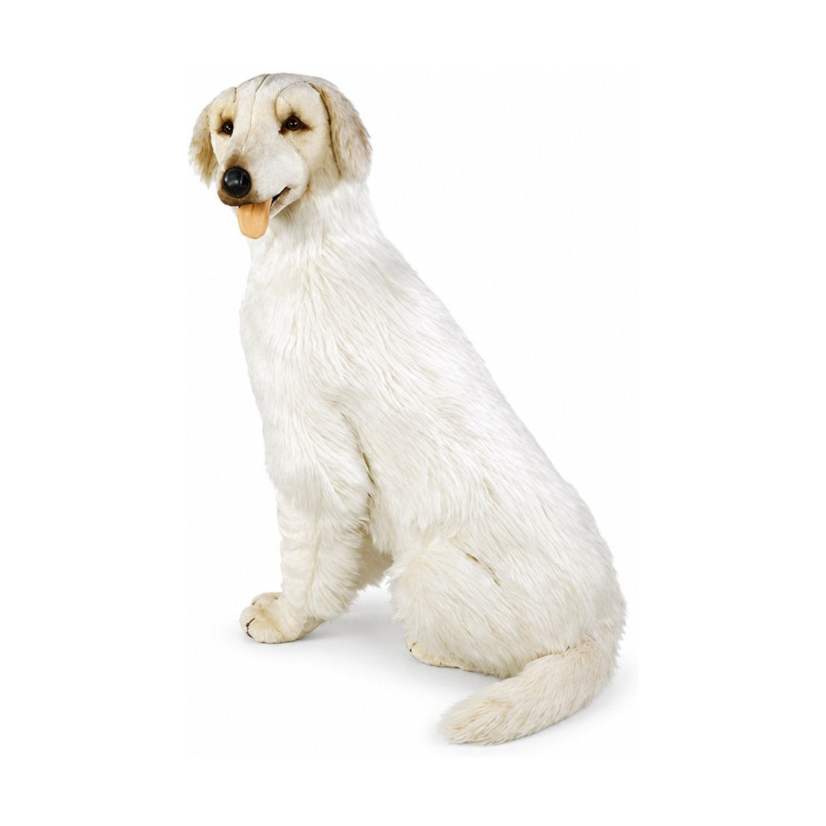Piutrè Maremma Sheepdog